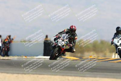 media/Oct-20-2024-CVMA (Sun) [[d4a3dff211]]/Race 9-Formulw LW Twins SHOOTOUT/